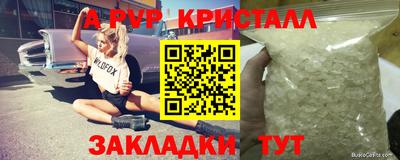 spice Кунгур