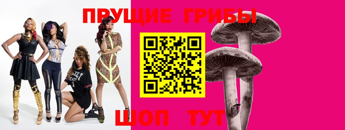 Вольск  Псилоцибиновые грибы Cubensis  Вход с VPN  Псилоцибиновые грибы MAGIC MUSHROOMS 