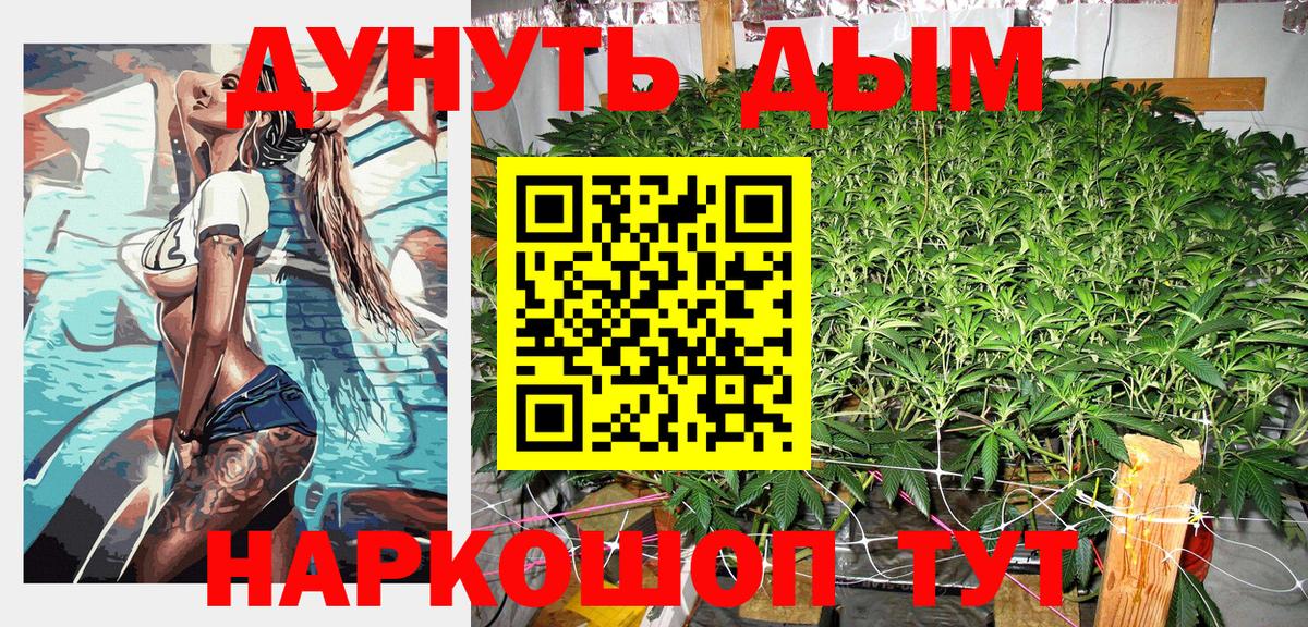 Бошки марихуана сатива  Конопля планчик  Вход с VPN  Вольск  Каннабис марихуана 